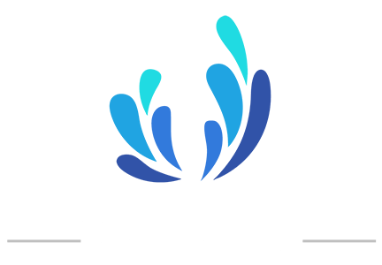 Pressure Washing Specialist Logo