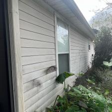 Exterior Soft Washing Jacksonville 2