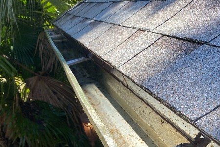 Gutter cleaning