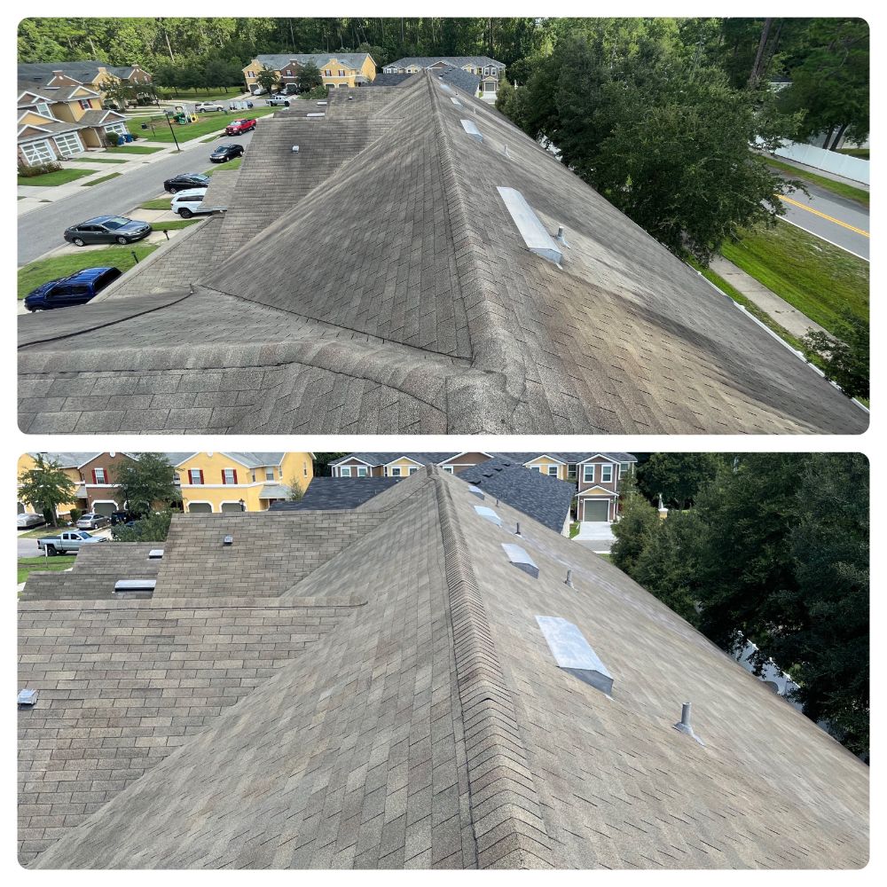 Roof cleaning