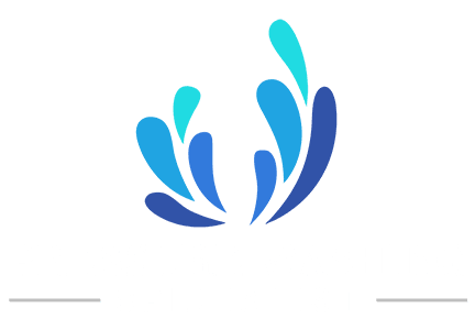 Pressure Washing Specialist Logo - Navigation