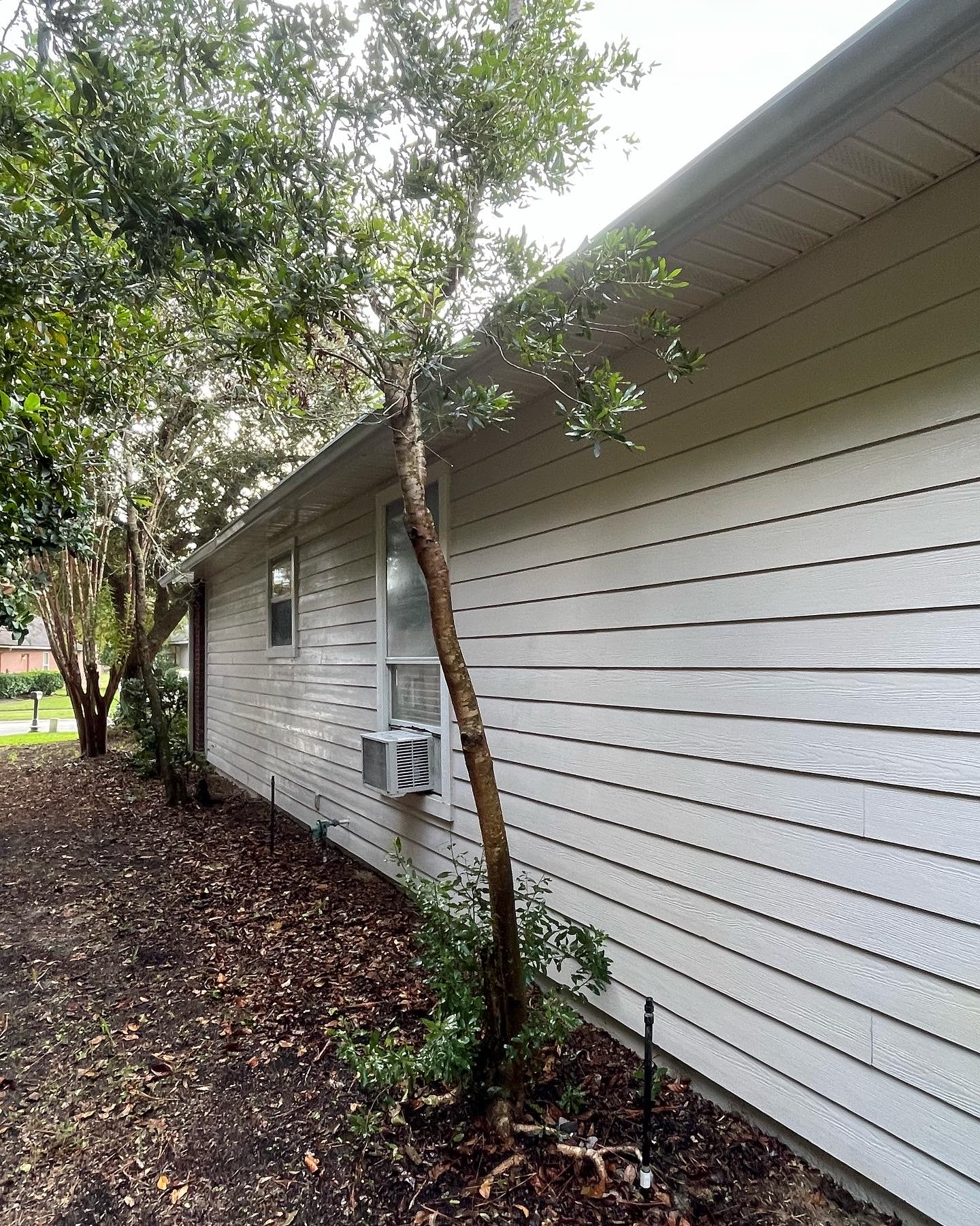 Soft Wash Exterior Home Cleaning in Jacksonville, FL Thumbnail